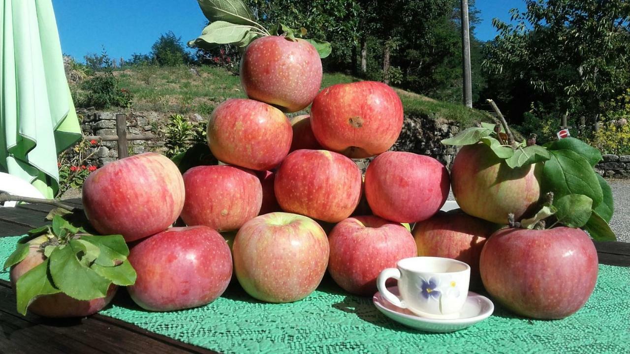 Il Poggio Di Traverde Pontremoli Eksteriør bilde